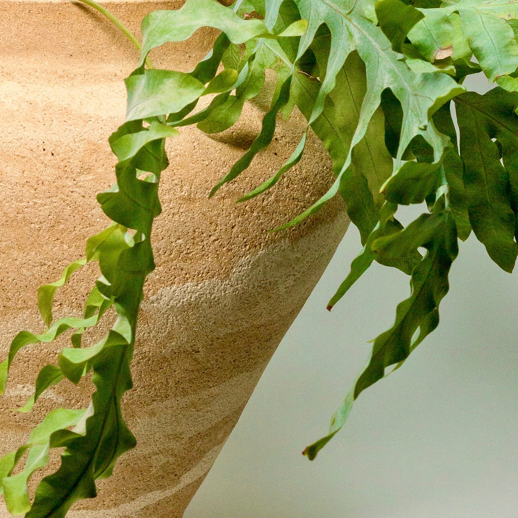 grand vase , terre naturelle, wabi sabi, terre mêlée , ceramique amphore,poure intérieur et extérieur, jardin,artisant d'art,piece unique et d'exception, grande taille, 38 cm, terre chamotte, texturé, piece luxe